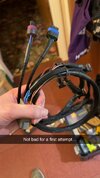 IMG_2625.jpeg
