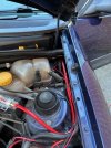 IMG_2677.jpeg