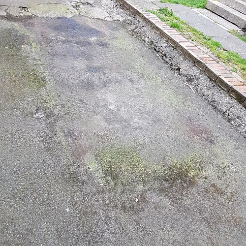 Mould